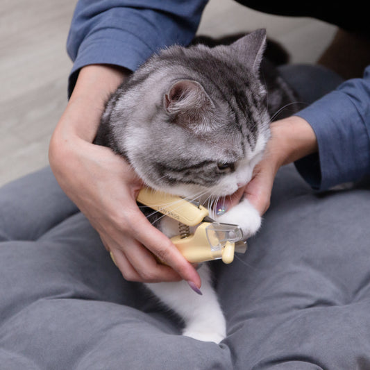 大きめLEDライト付き爪切り