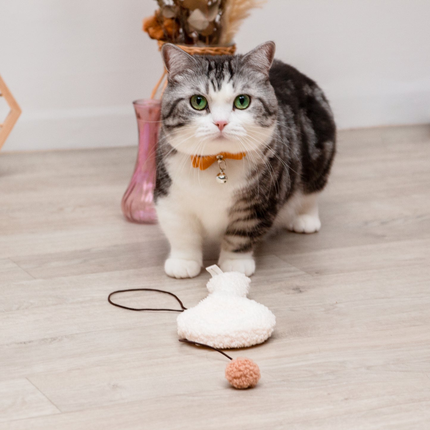 スプーンねこじゃらし