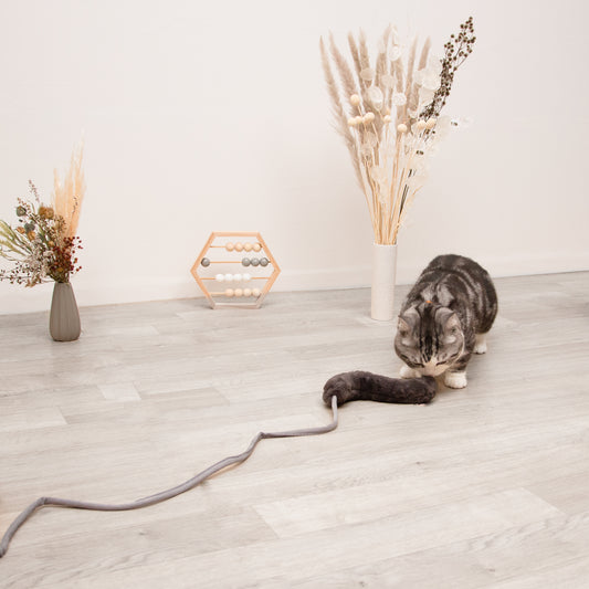 しっぽの猫じゃらし