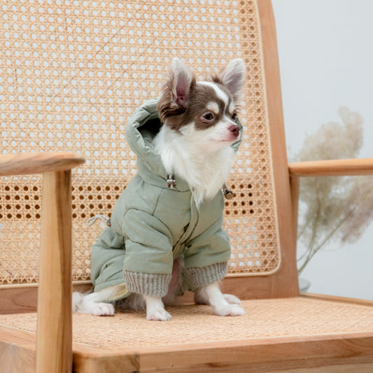 くすみグリーンコート