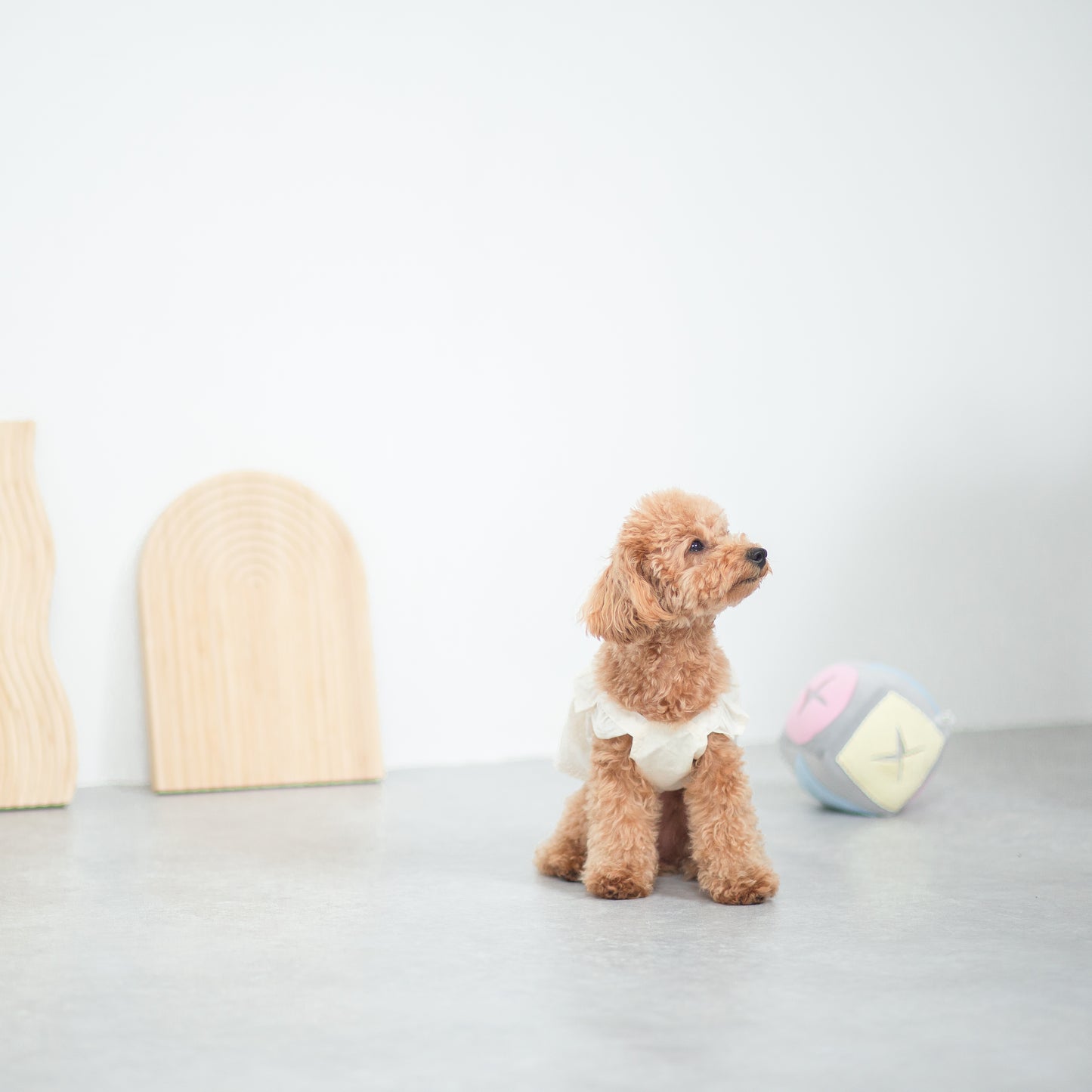 フリルレースワンピース