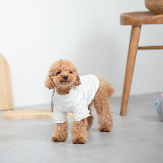 レースフリルカットソー