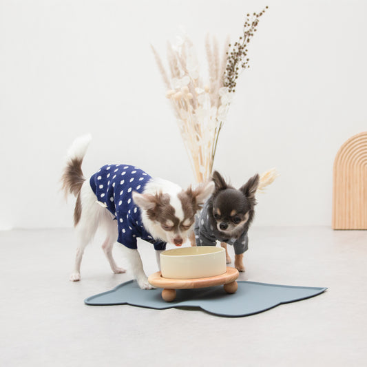 猫型ランチョンマット