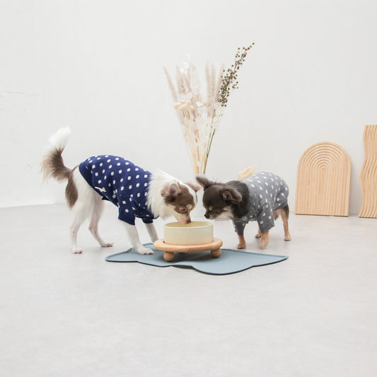 丸脚フードボウル