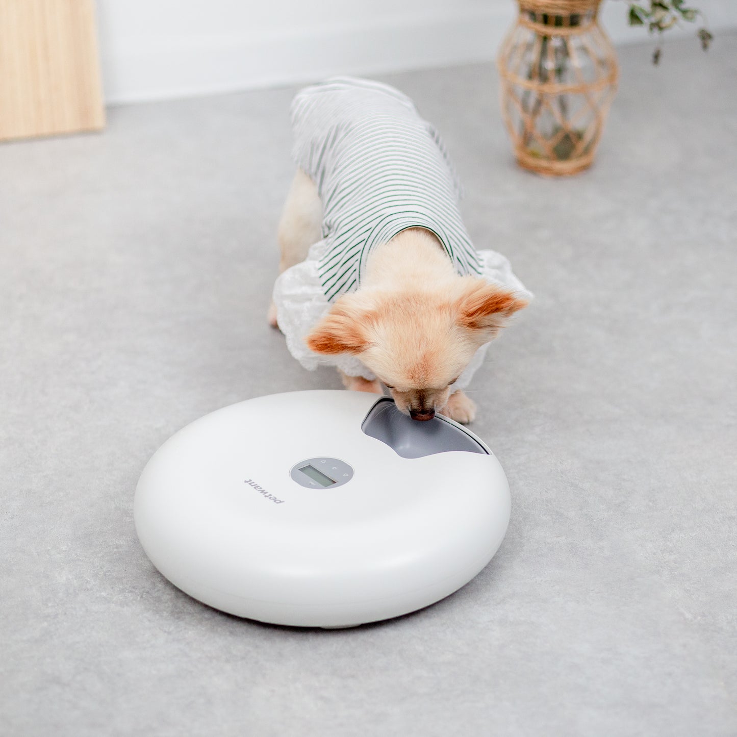 ペット用自動給餌器