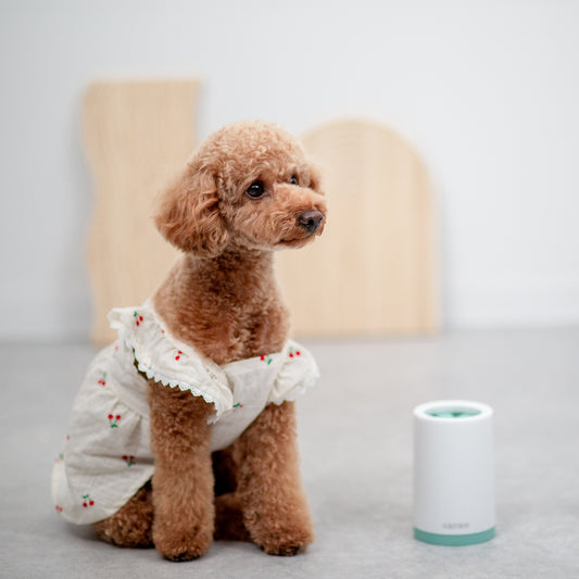 わんちゃんの足洗いカップ