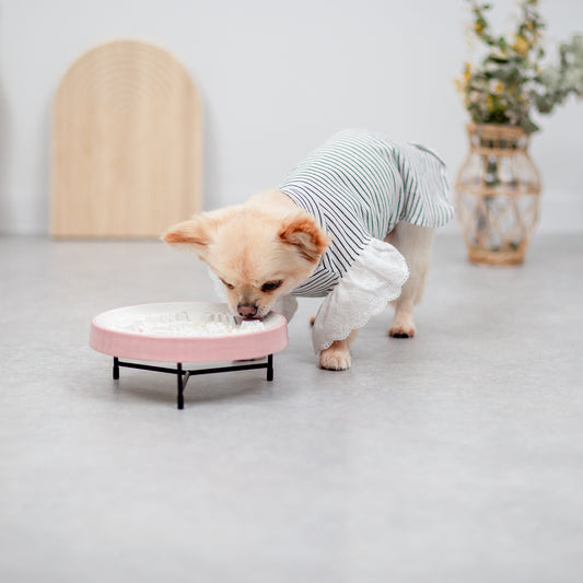 早食い防止フードボウル