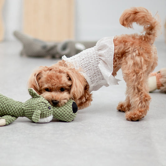 かわいい動物のぬいぐるみ