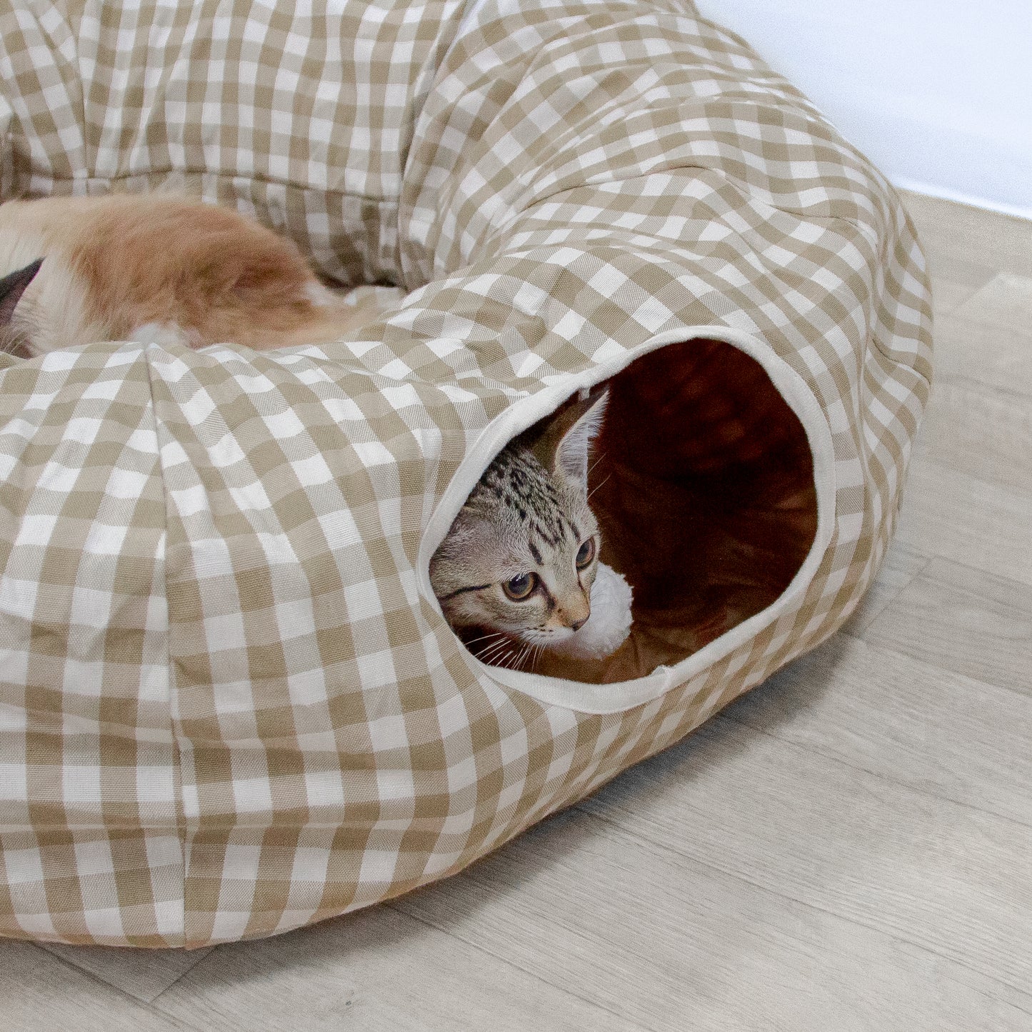 ねこちゃんトンネル
