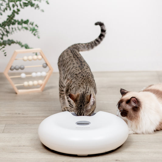 ペット用自動給餌器