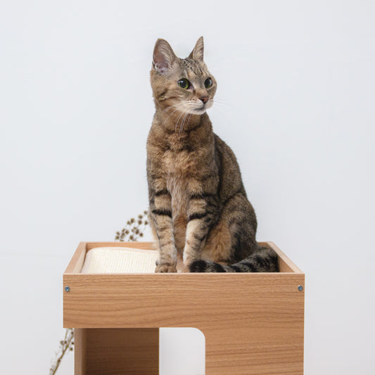 ねこちゃん2段インテリアベッド