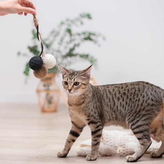 3色セット麻ボール