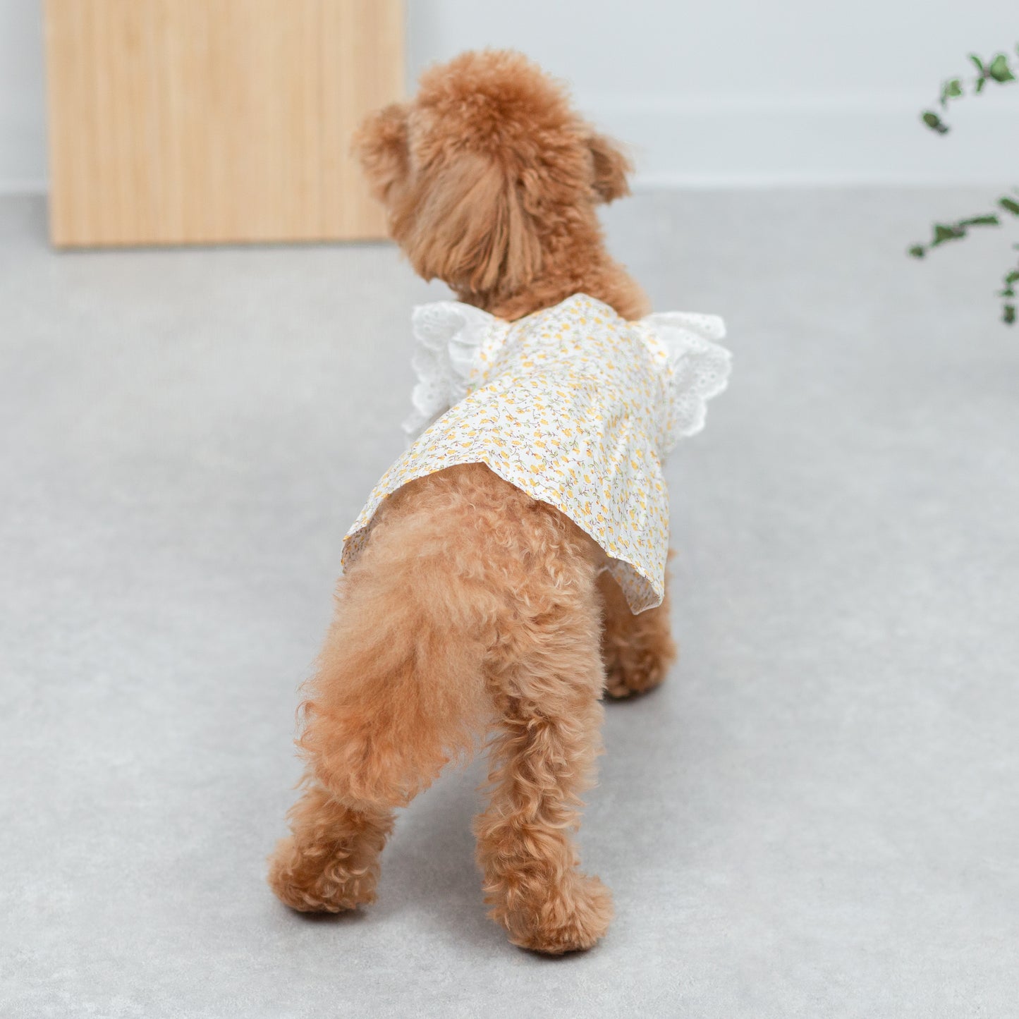 小花柄レースワンピース