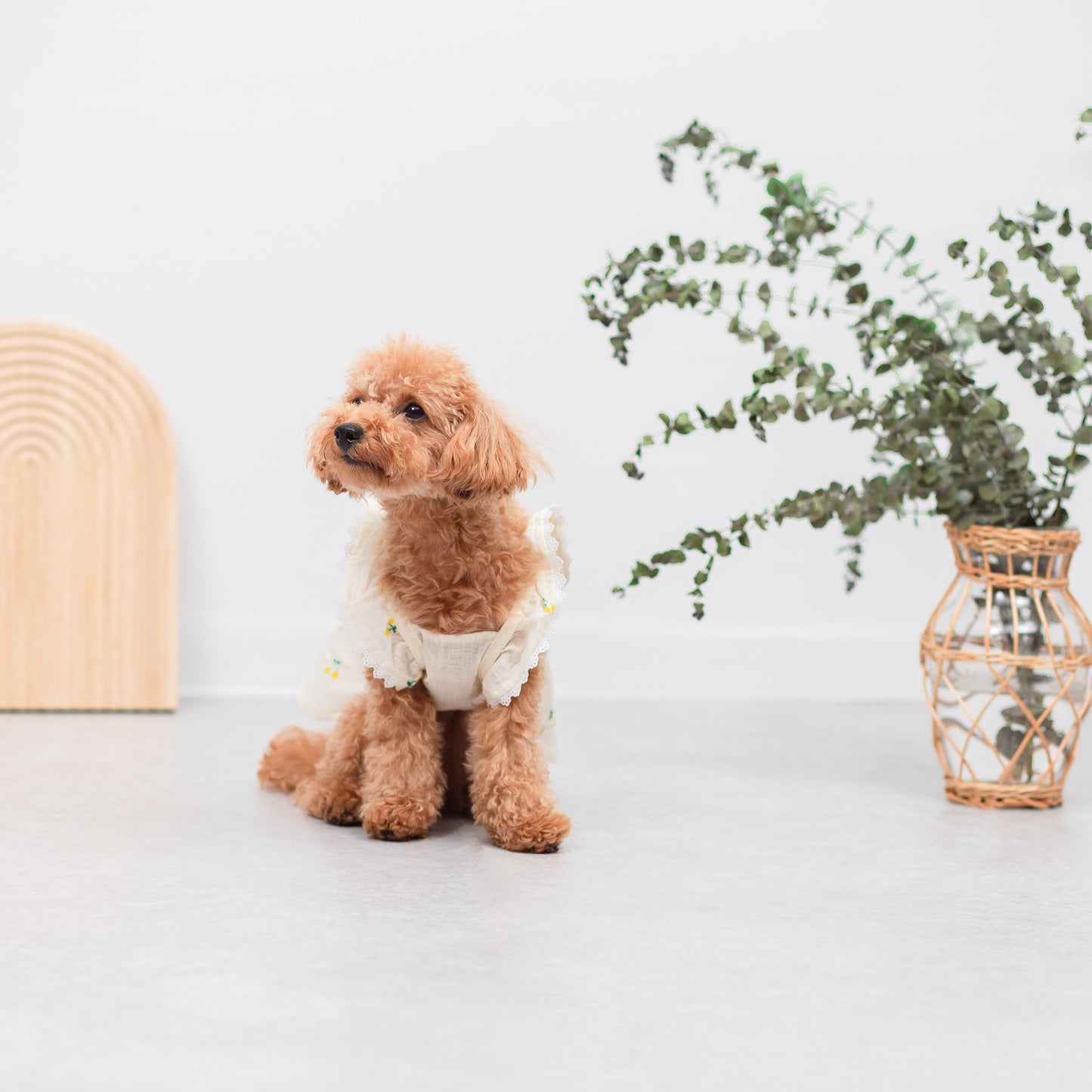 さくらんぼ柄フリルワンピース