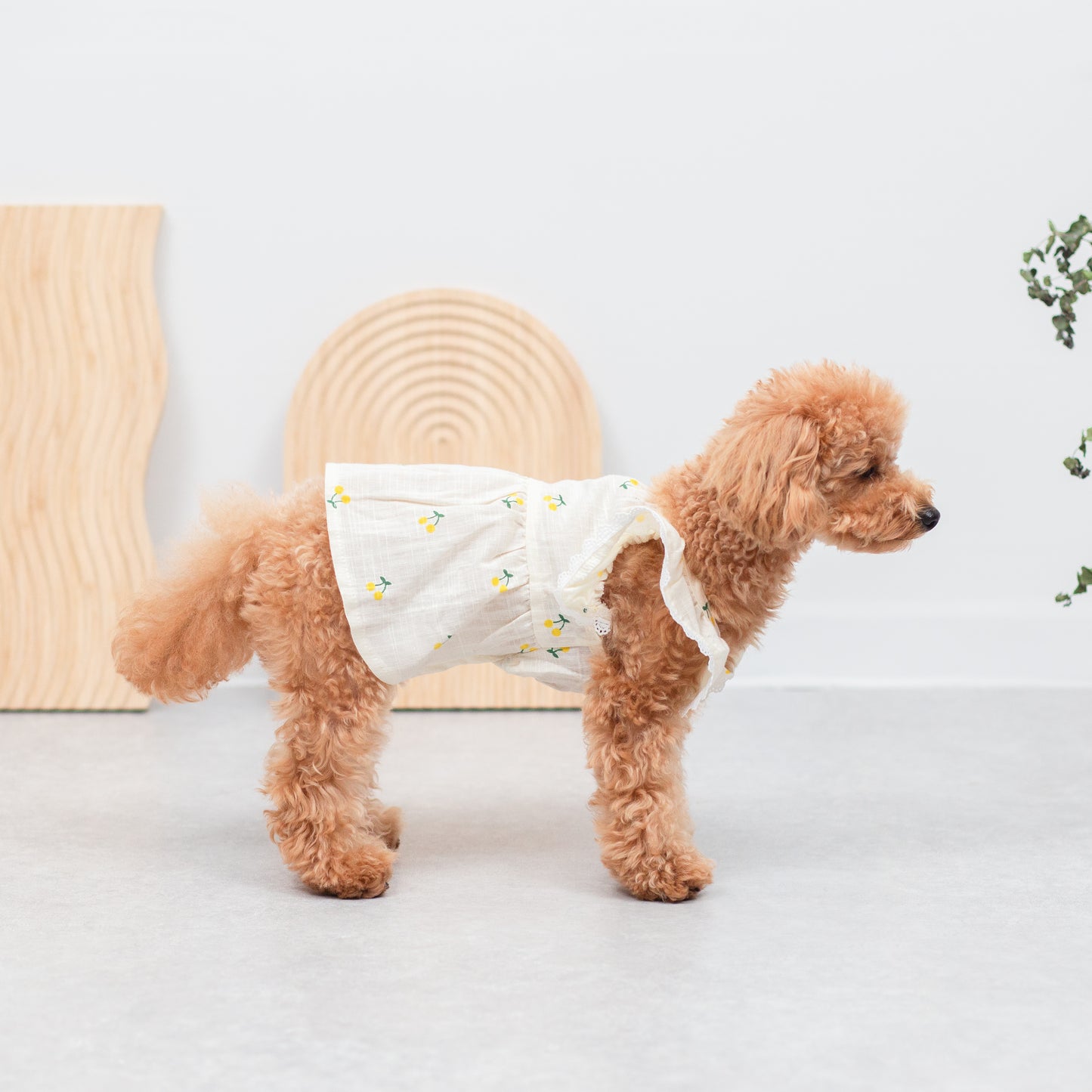 さくらんぼ柄フリルワンピース