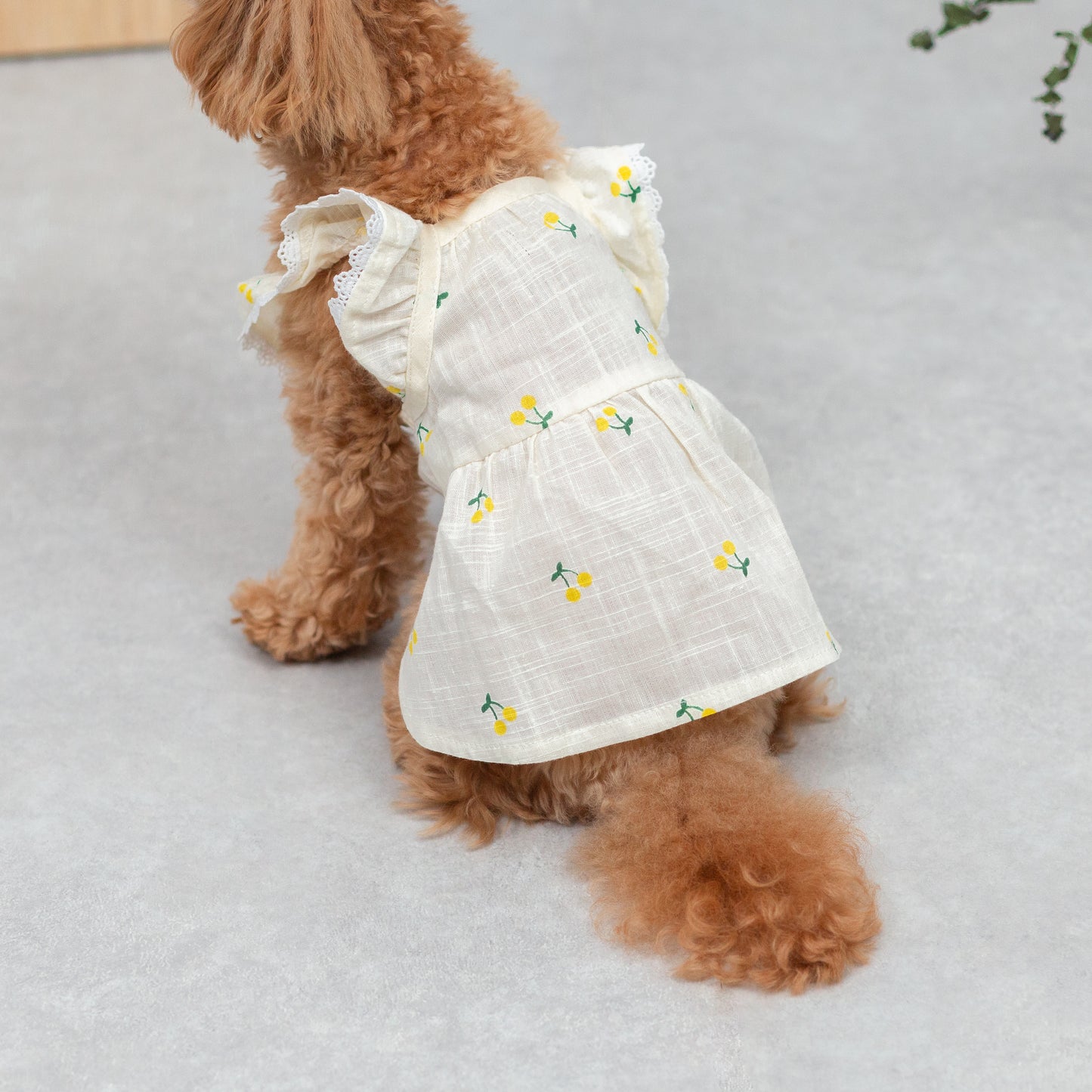 さくらんぼ柄フリルワンピース