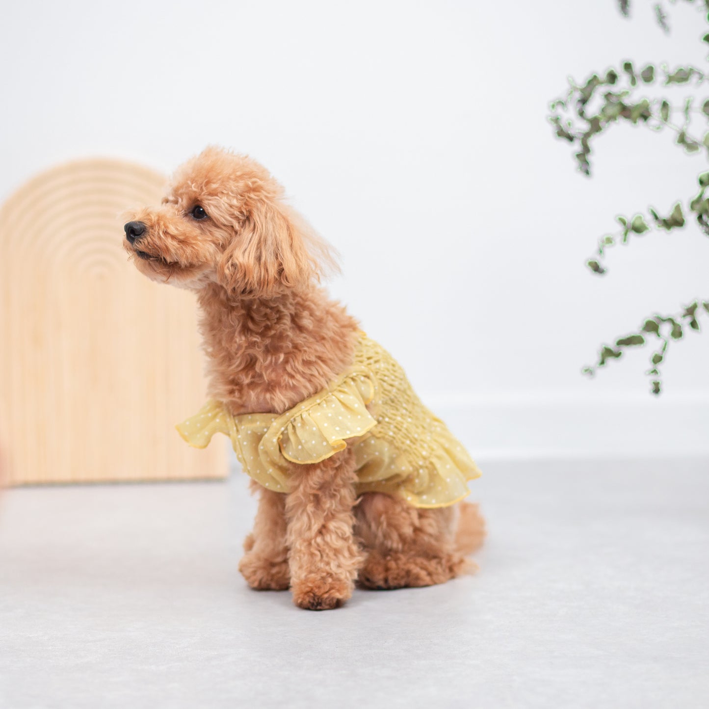 ドット柄シフォンワンピース