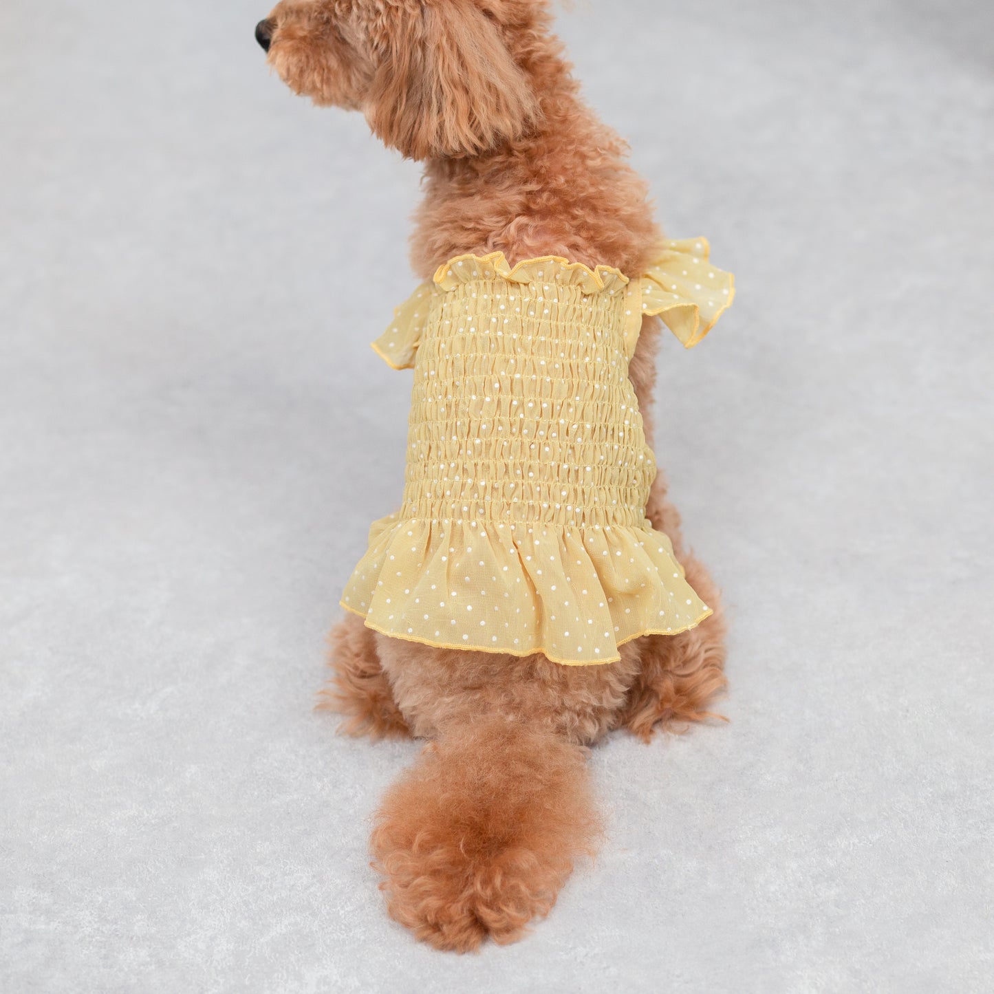 ドット柄シフォンワンピース