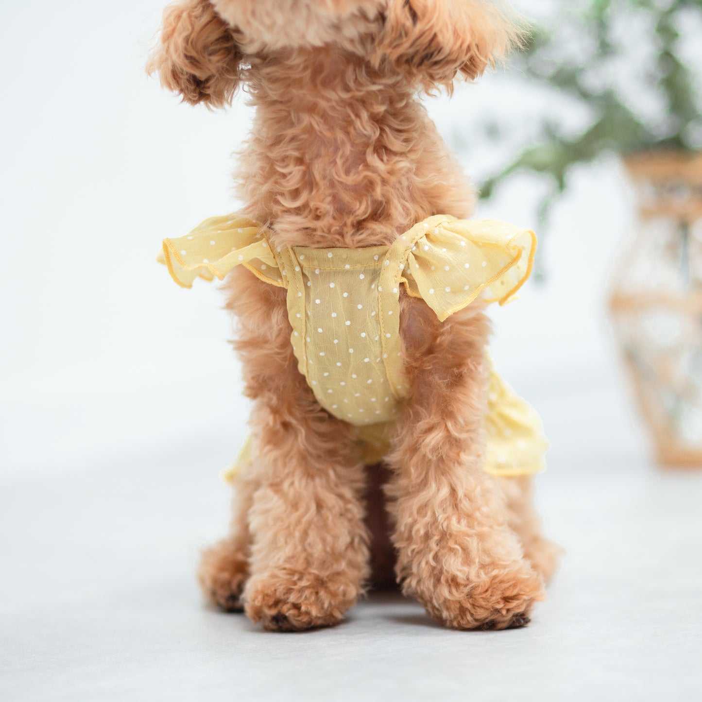 ドット柄シフォンワンピース