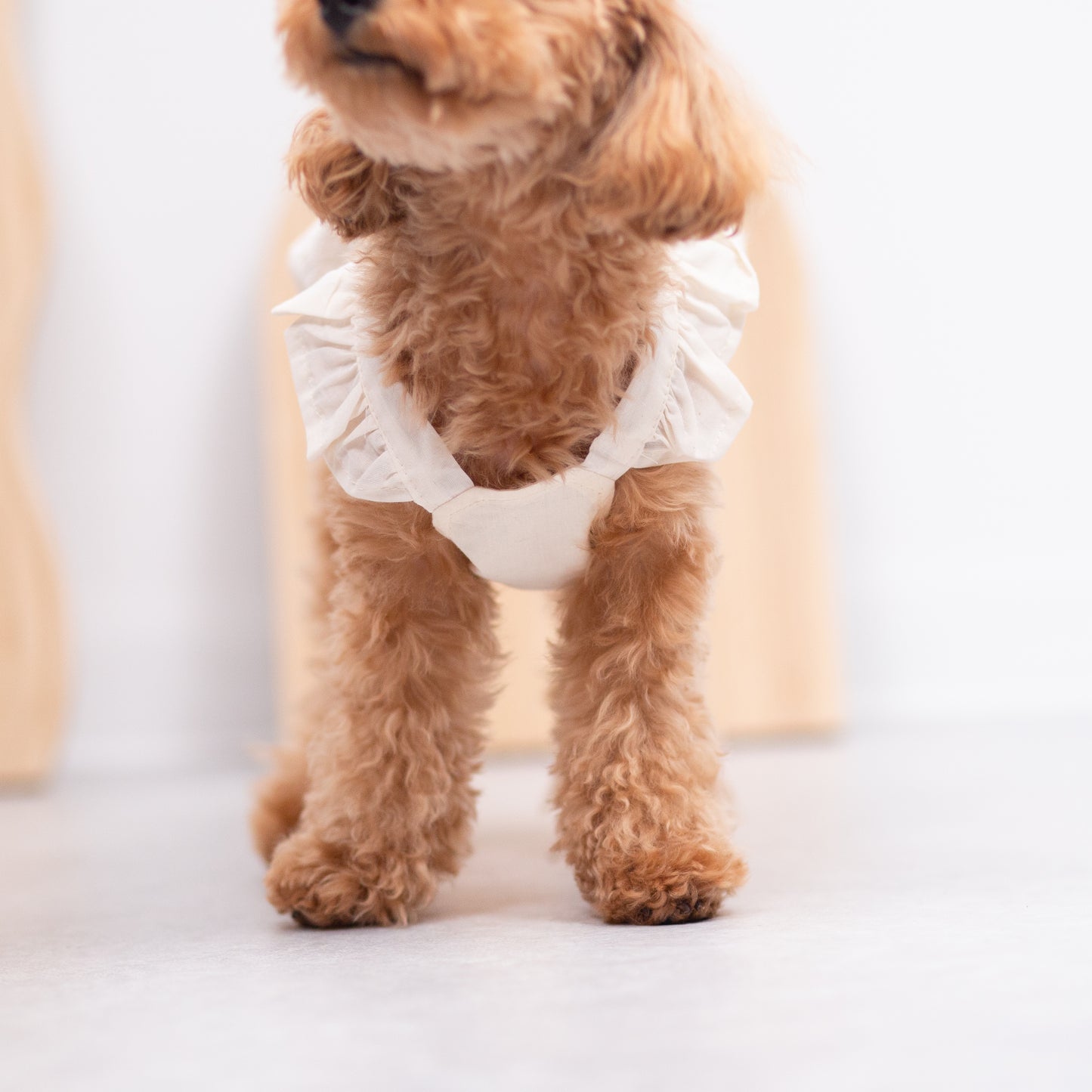 フリルレースワンピース