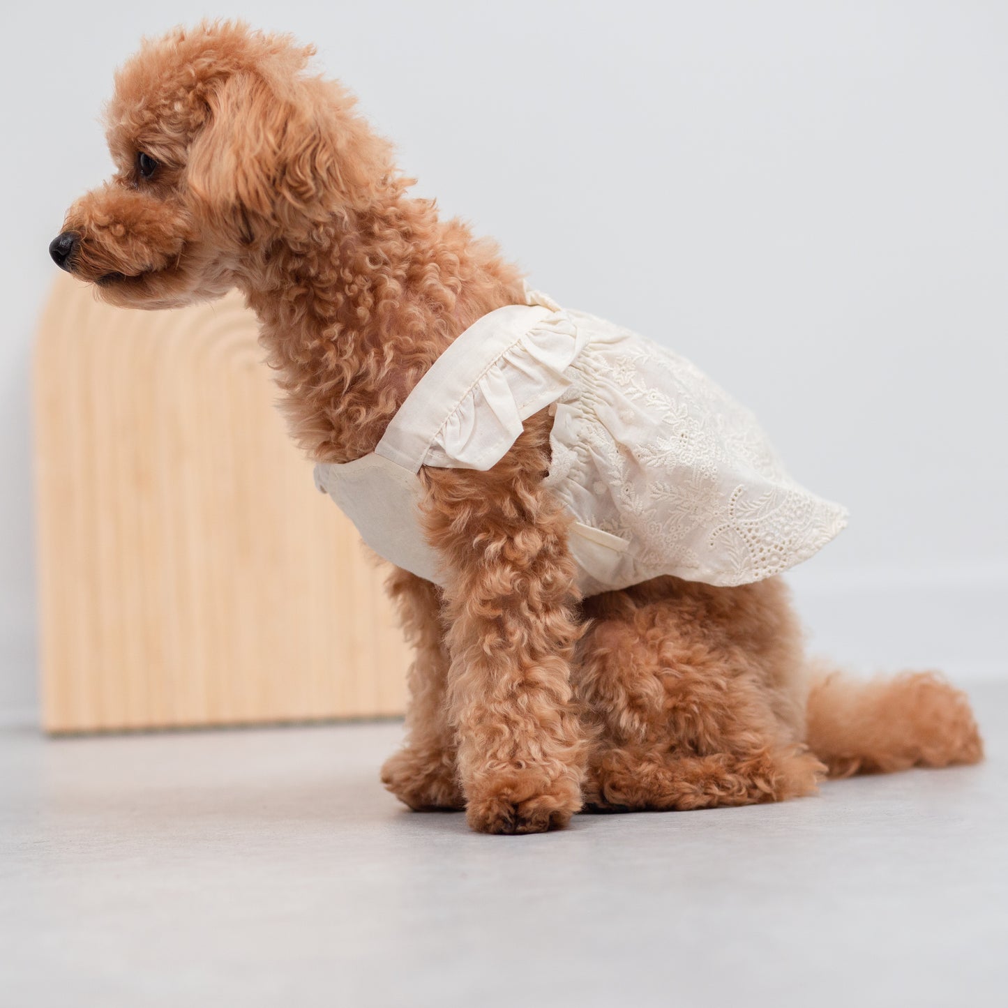 フリルレースワンピース