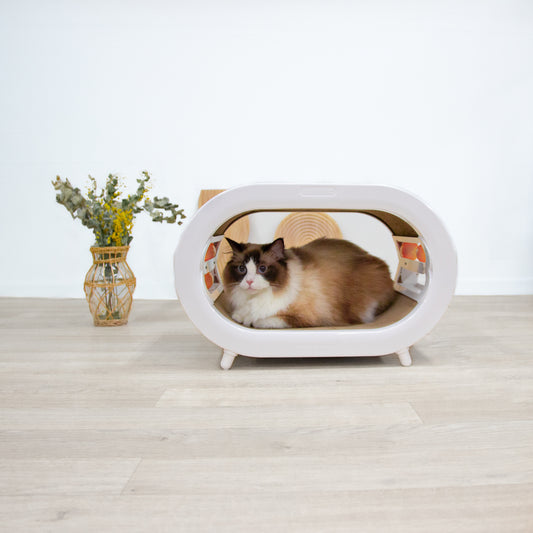 ハウス型爪とぎ