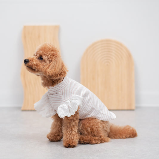 袖フリルボーダーカットソー