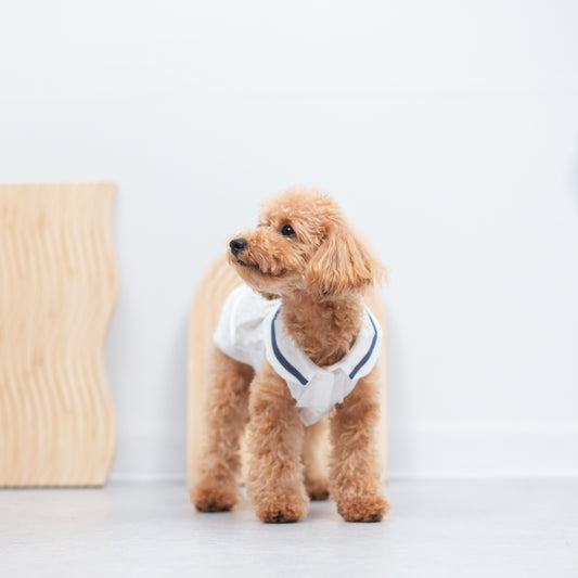 マリンカラーワンピース