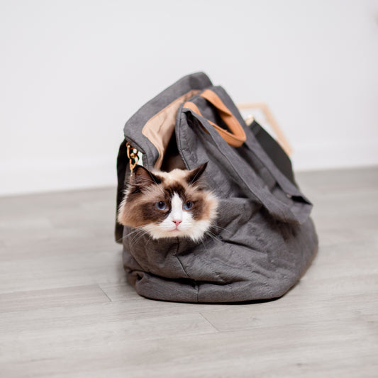 ペット用ハンドバッグ