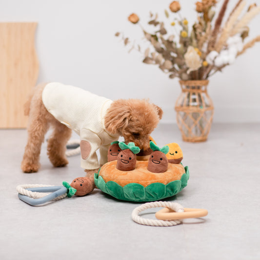 お芋ノーズワーク