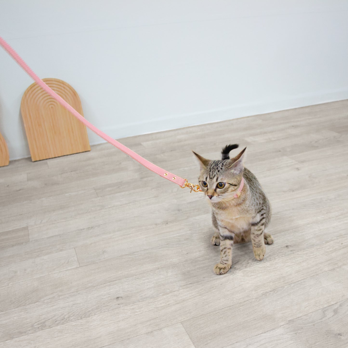 カラフルカラー