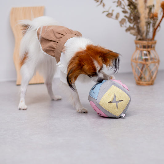 わんちゃんボールトイ