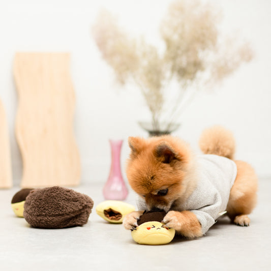 栗のノーズワーク