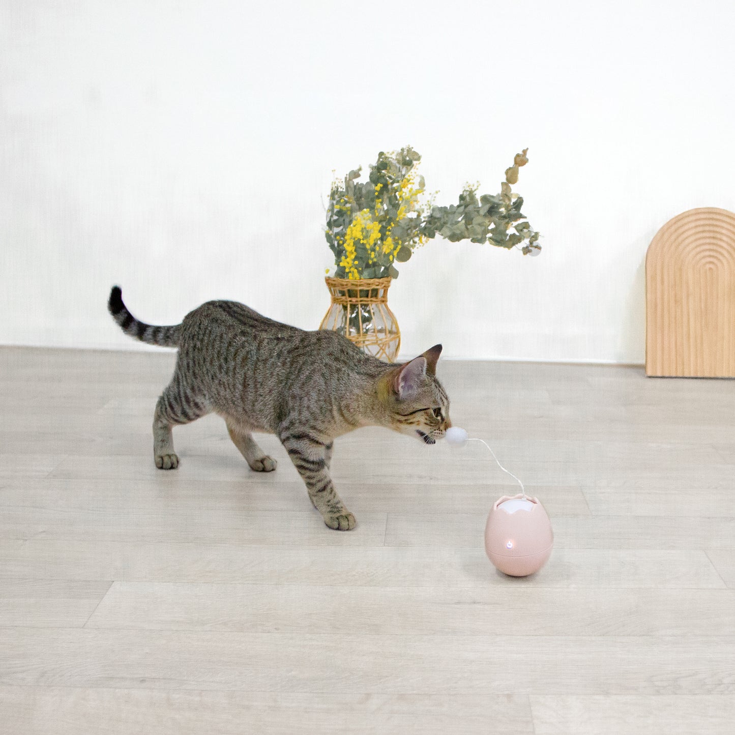 卵殻の自動猫じゃらし