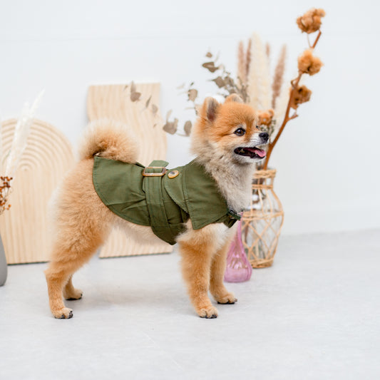 トレンチコート