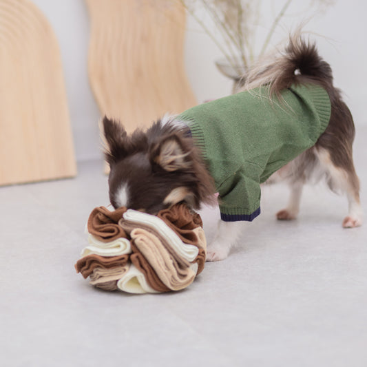 ボール型ノーズワーク