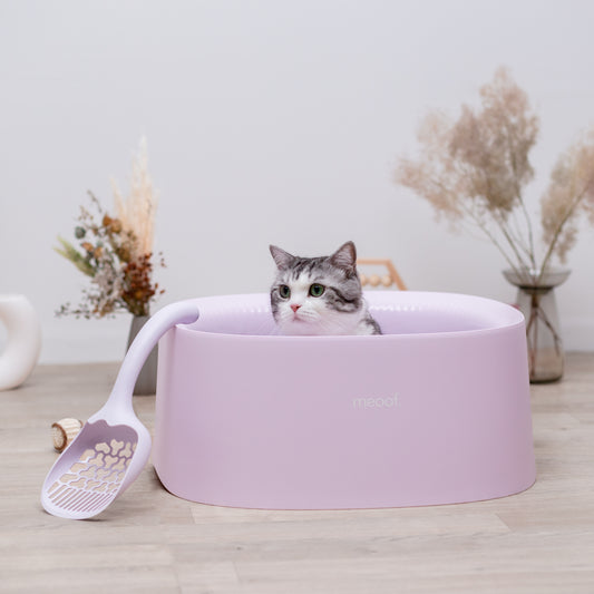 ねこちゃんトイレ