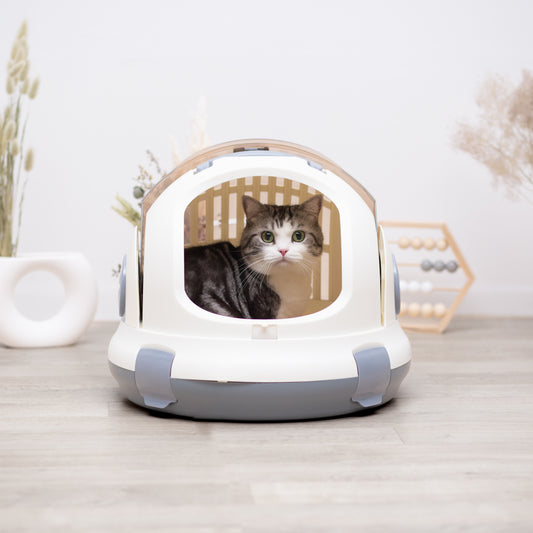 ハードキャリーケース