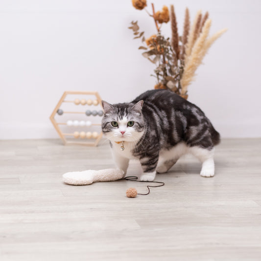 スプーンねこじゃらし