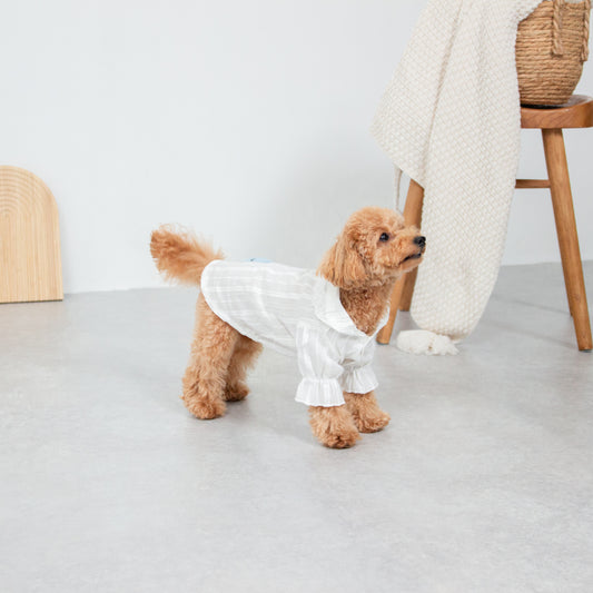 ポエットスリーブレースブラウス