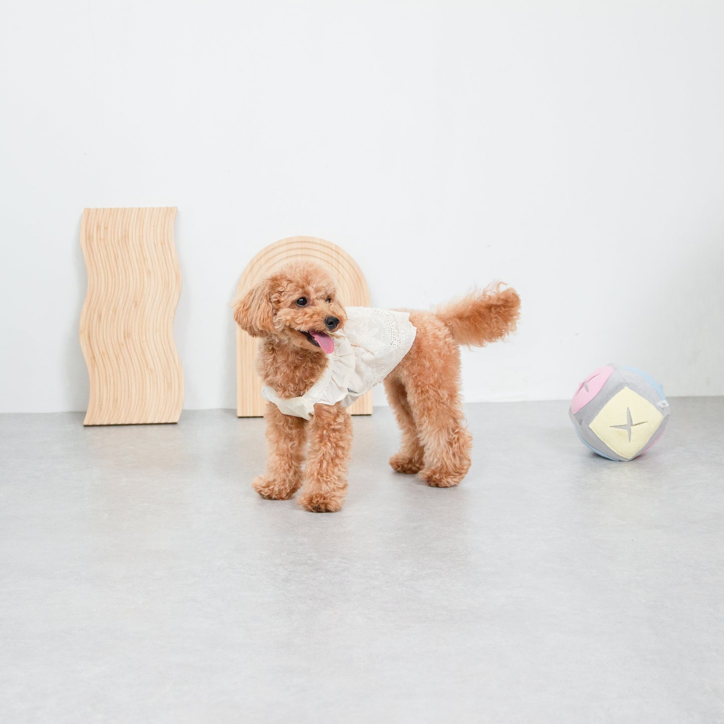 フリルレースワンピース