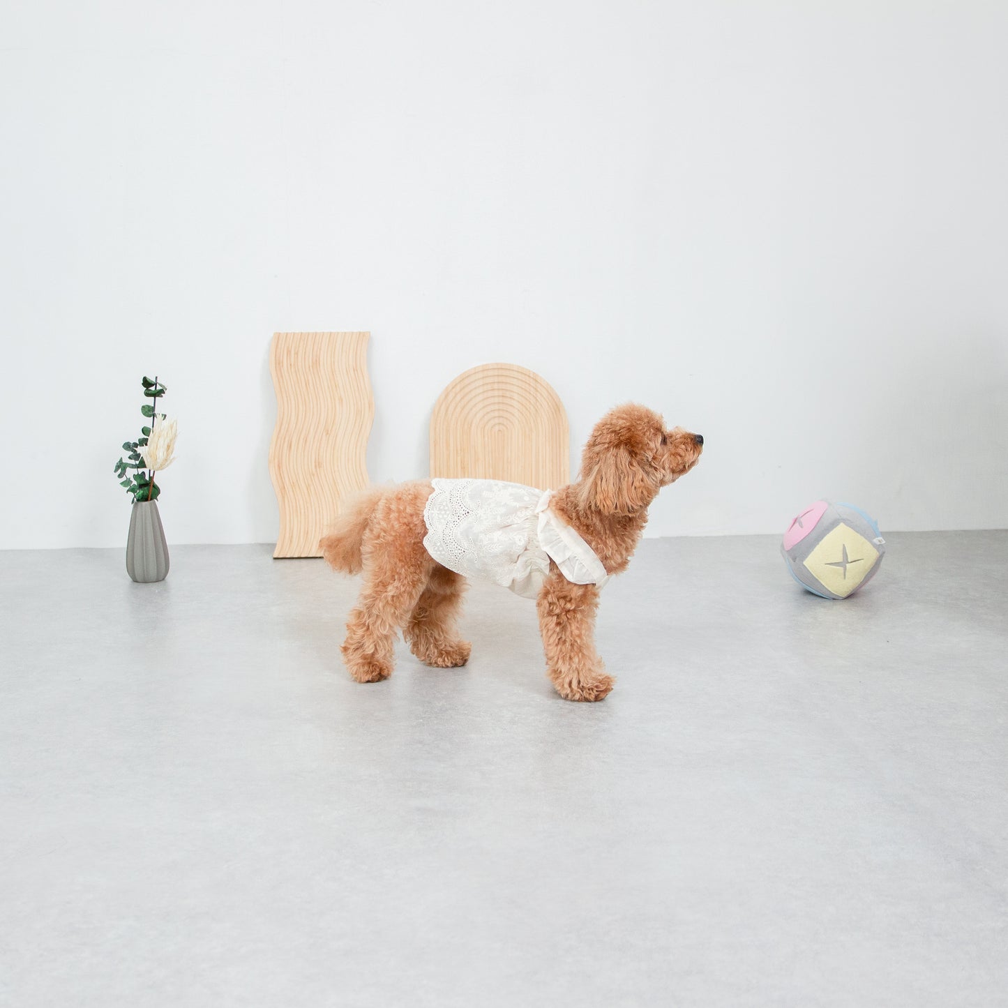 フリルレースワンピース