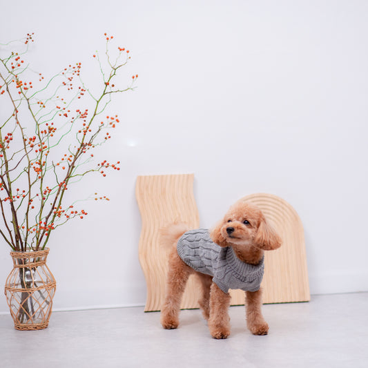 ニットタートルネック