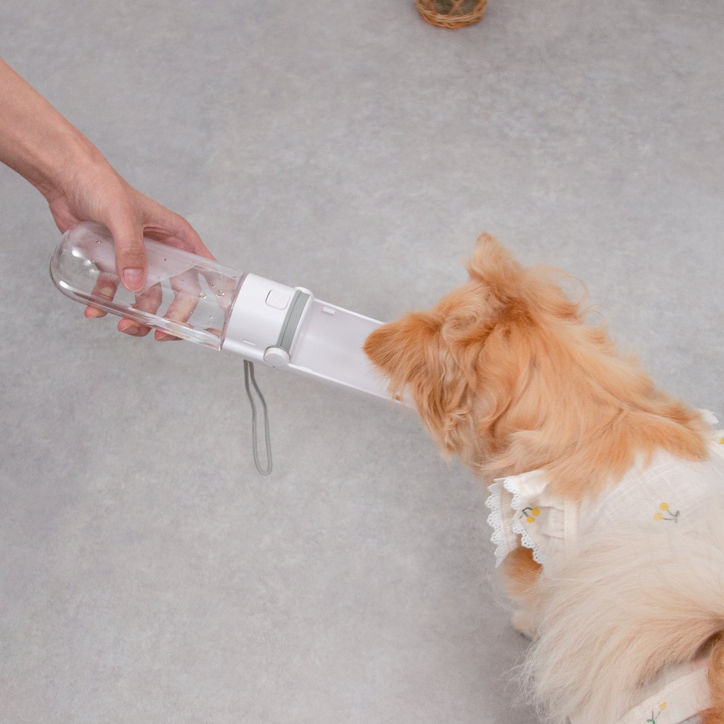 折りたためる水飲みボトル