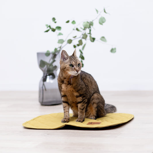 キルティングカフェマット