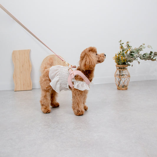 お散歩ハーネス