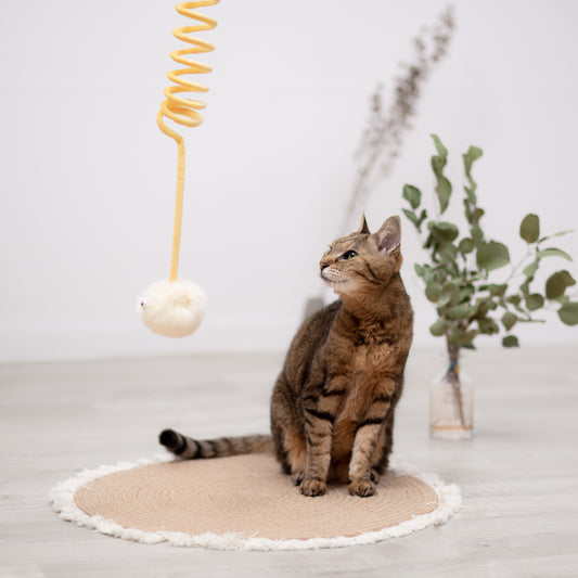 ボンボン猫じゃらし