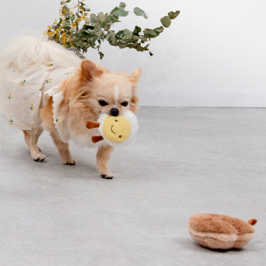 小さなぬいぐるみ