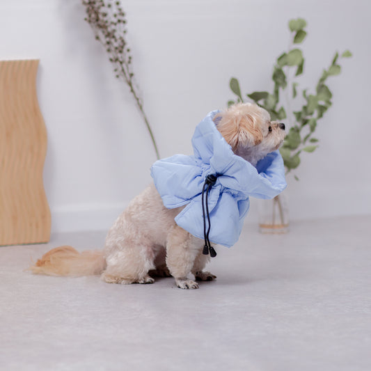 エリザベスカラー