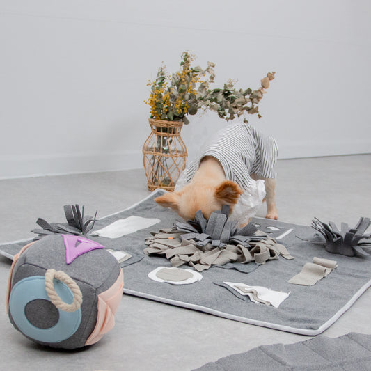 仕掛けがいっぱいノーズワーク